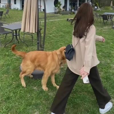 摩根的渡口 在线观看